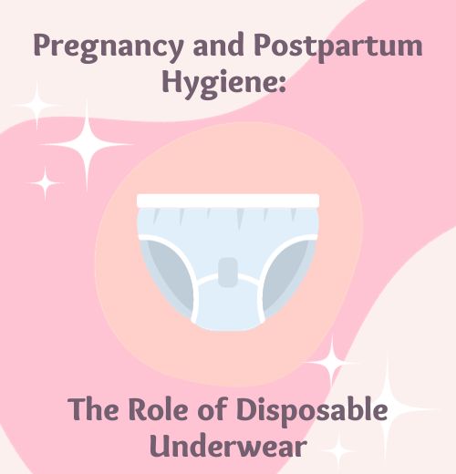 The Role of Disposable Underwear