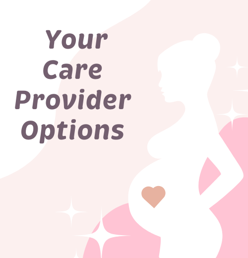 Your Care Provider Options