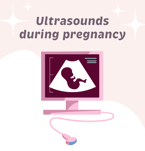 The different scans offered during pregnancy